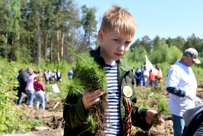 Акция «Лес Победы» в Балашихе