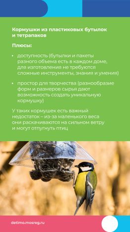 Синичкин_день_вертикаль_07.jpg