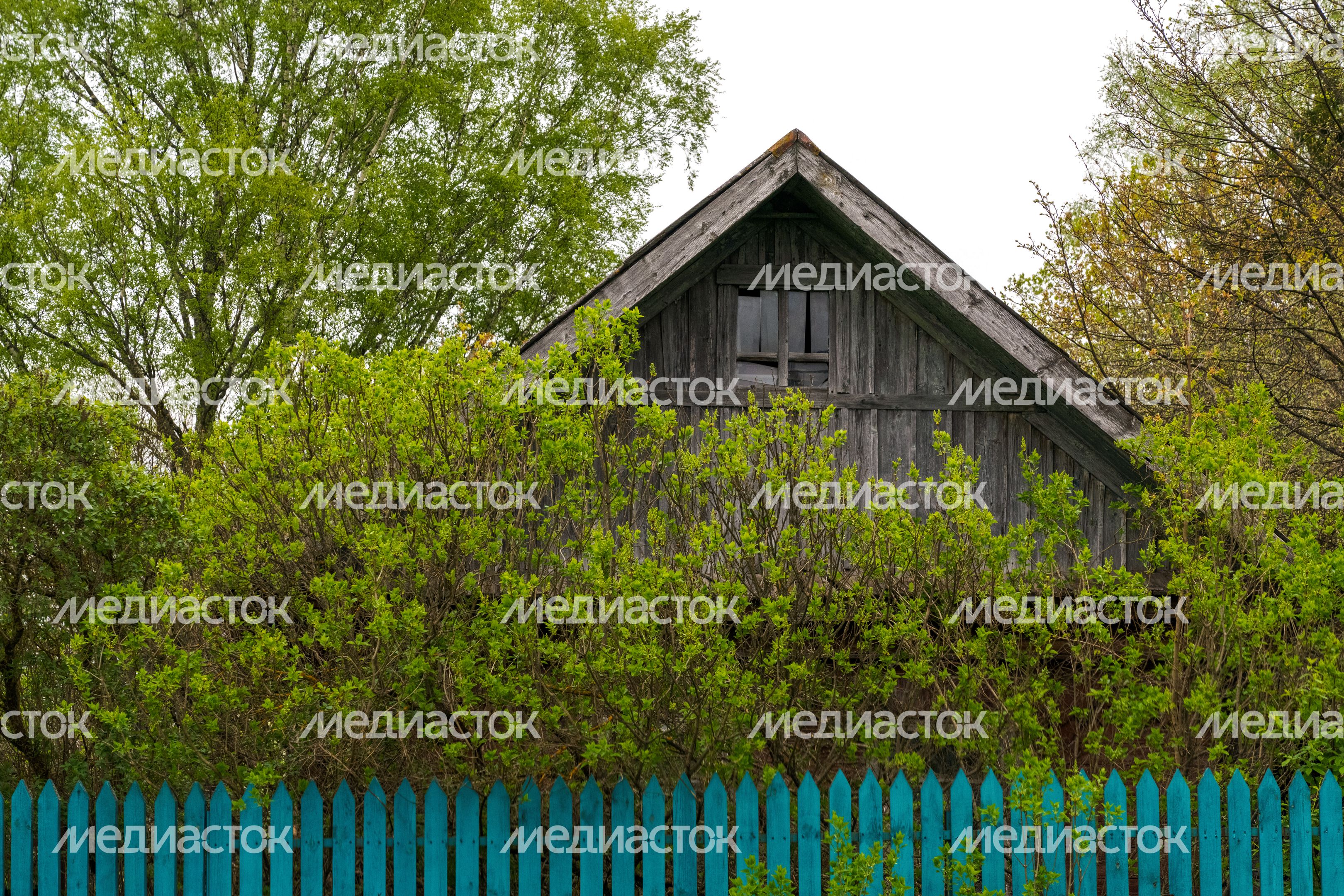 Дача в Подмосковье. Дачная амнистия Дача в Подмосковье. Дачная амнистия