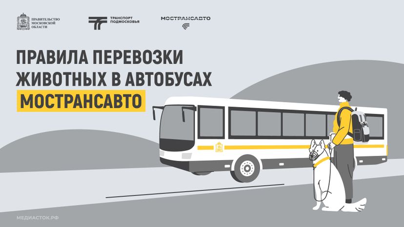 Правила перевозки животных горизонталь 01