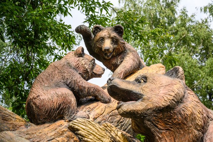 Летний Центральный парк культуры и отдыха в Лыткарино