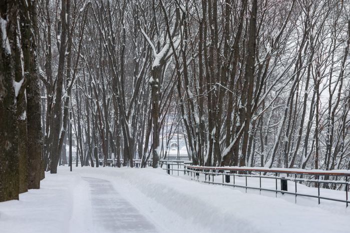 Зима в Лосино-Петровском парке