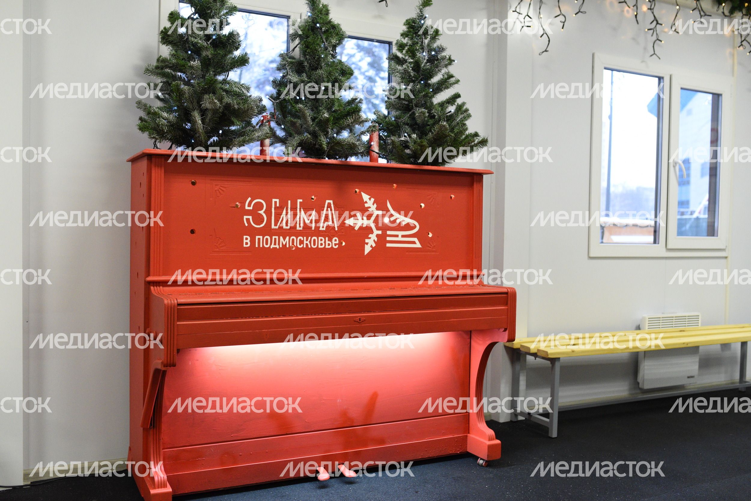 Открытие катка в парке Пехорка в Балашихе