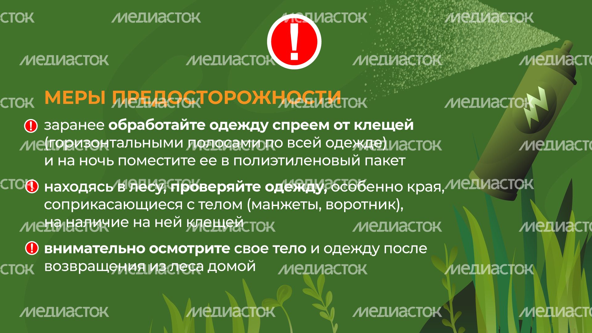 комлесхоз_клещи_гор_5