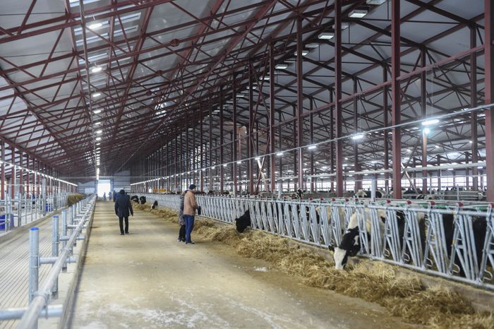 Открытие нового молочного комплекса TH True Milk в Подмосковье, 2 часть