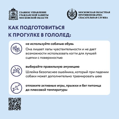 Помощь усатым - квадрат-04