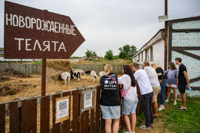 Ферма «Веселая корова» в деревне Антоново Раменского округа