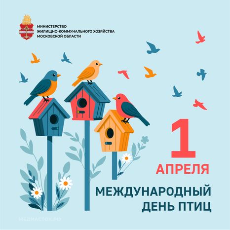 Открытки международный день птиц квадрат