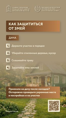 Гадюки вертикаль 04