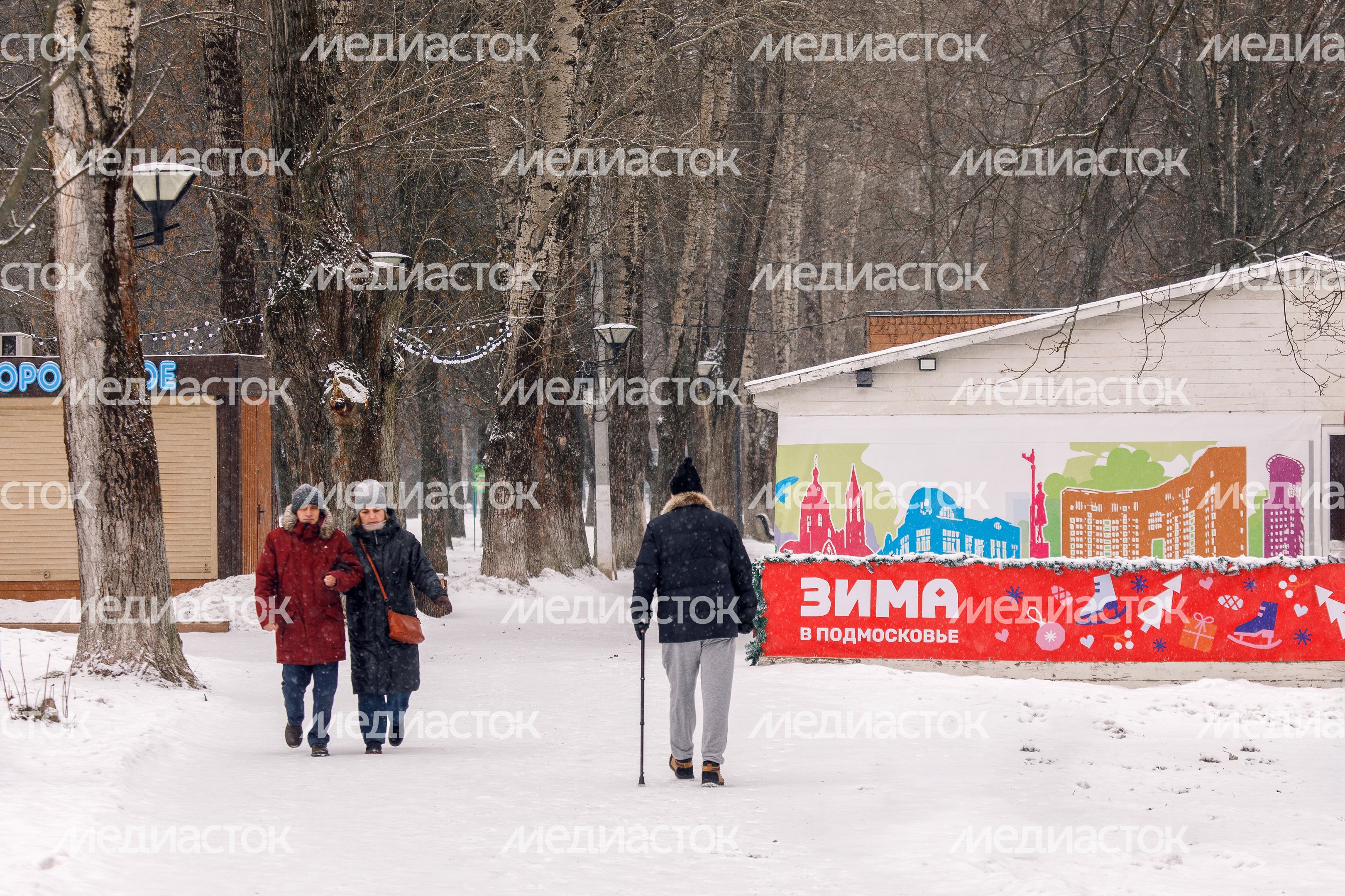 Зимний Щелковский городской парк культуры и отдыха Зимний Щелковский городской парк культуры и отдыха