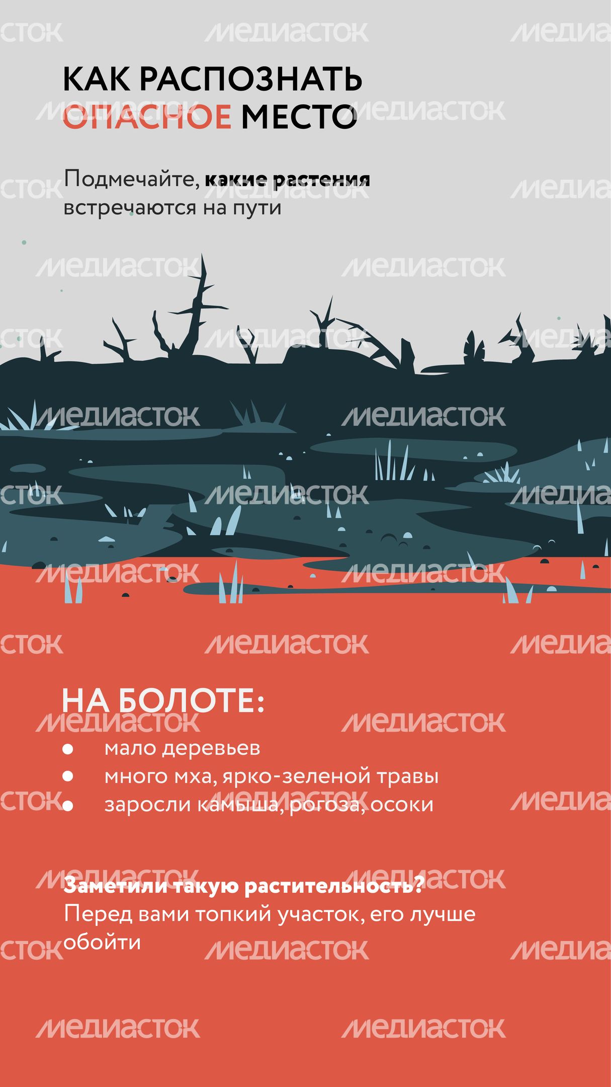 Болото-Вертикаль-04.jpg
