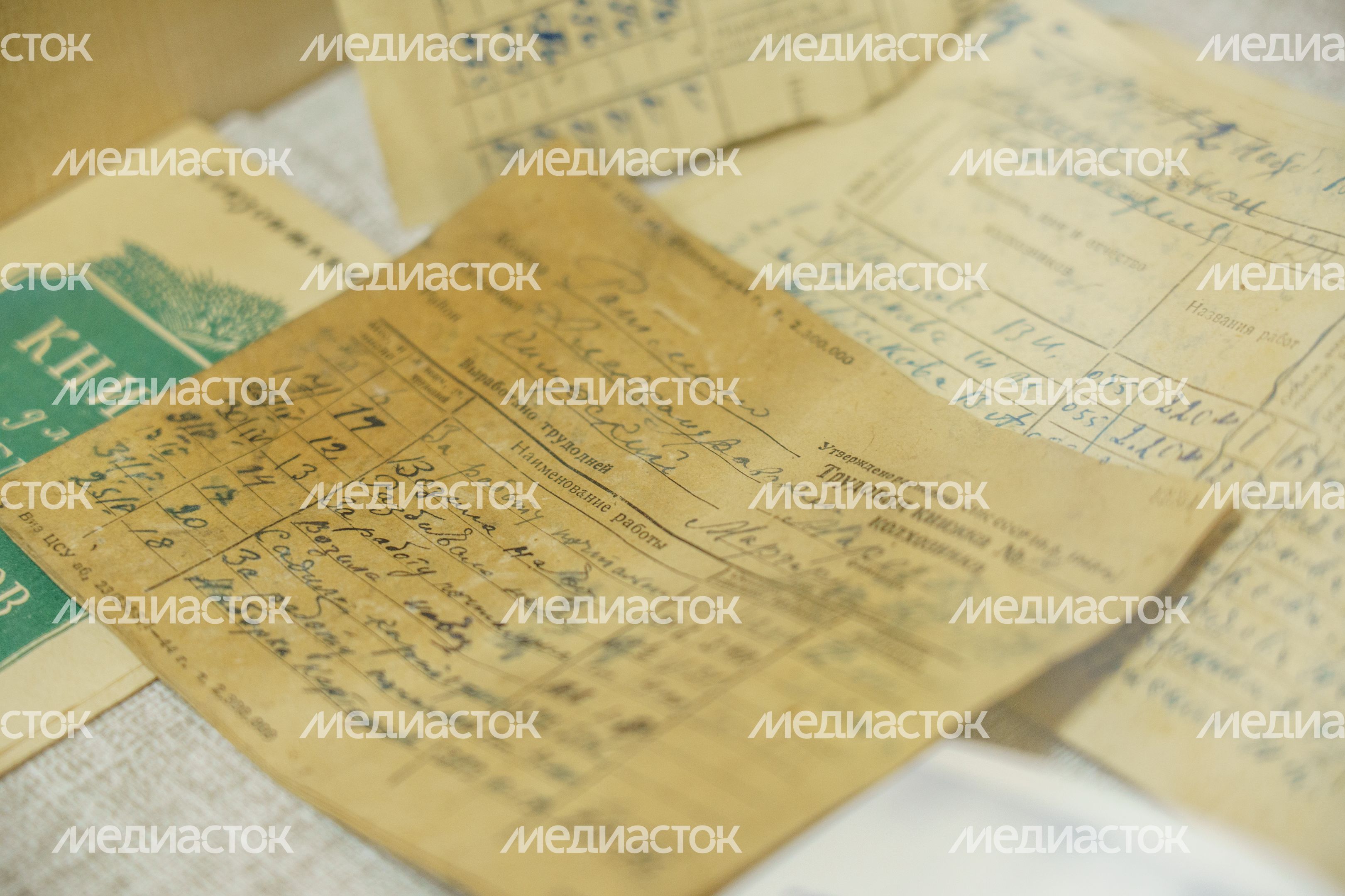 Музей Дубны. Отделение археологии и краеведения
