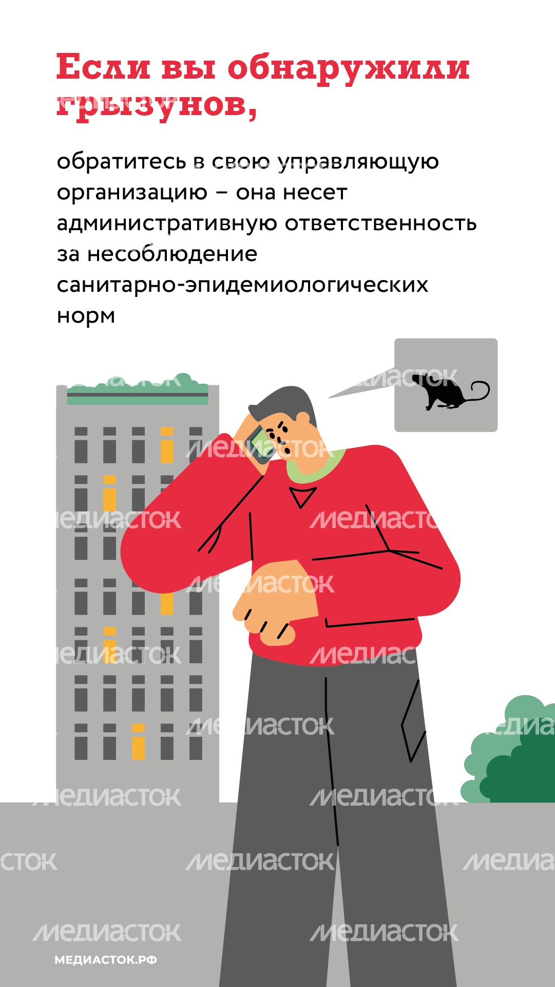 Крысы в МКД вертикаль (6) Крысы в МКД вертикаль (6)
