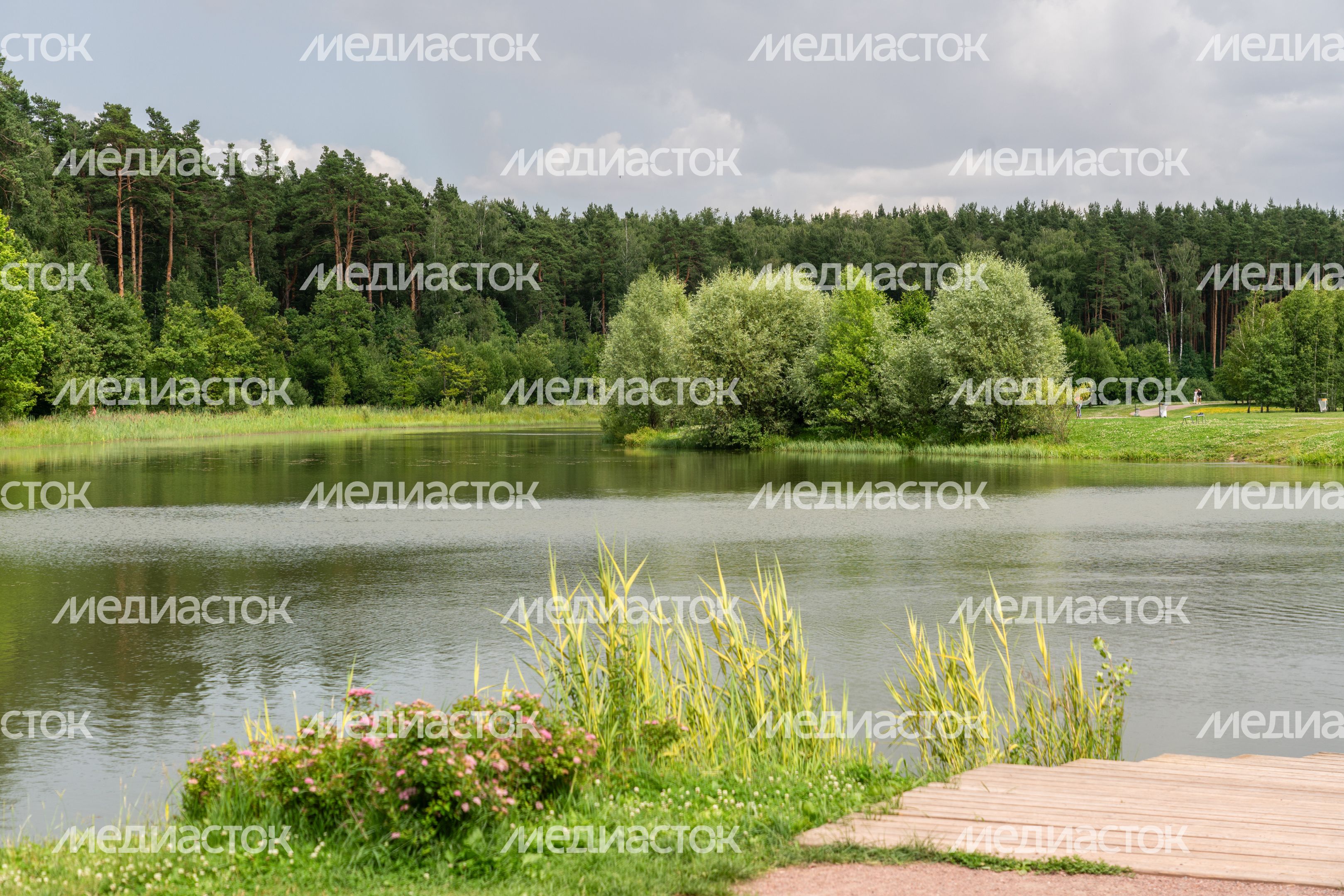 Мещерский парк летом