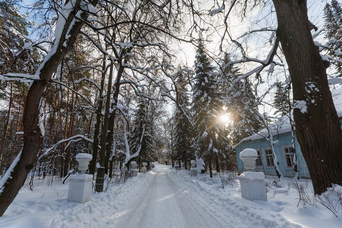 Зима в усадьбе Быково в Раменском
