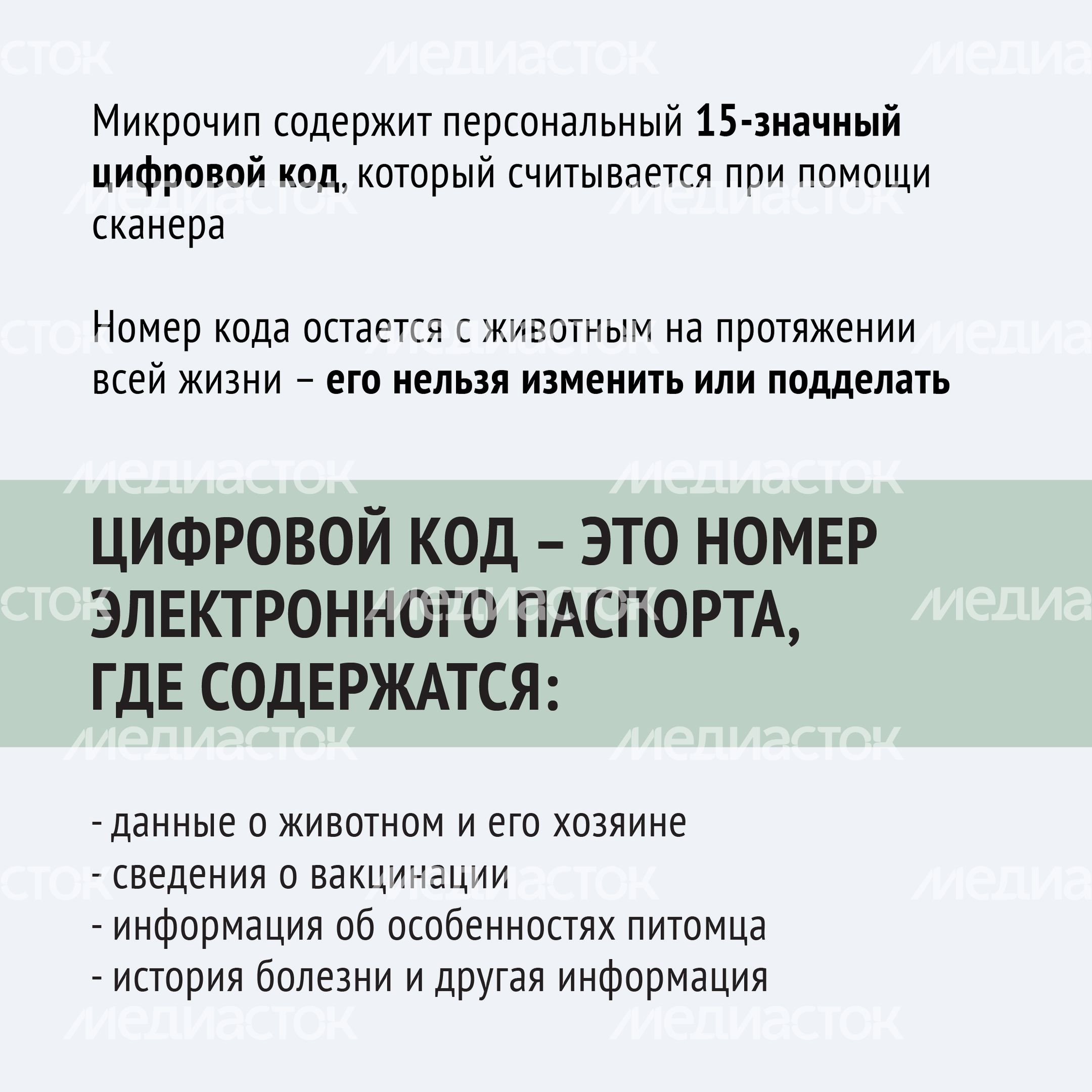 Чипирование-17.jpg