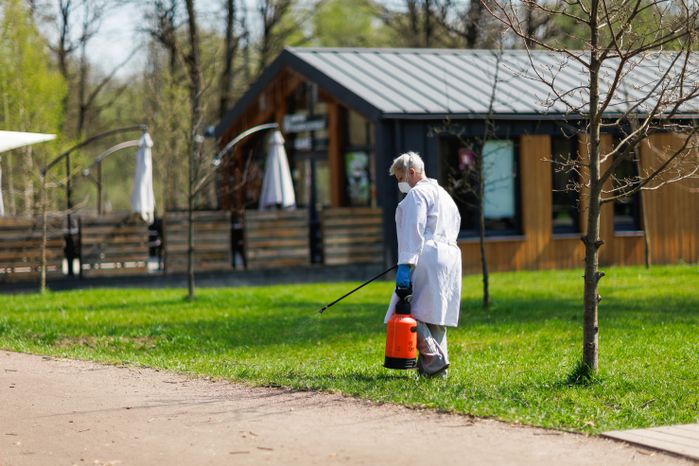 Борьба с клещами в Подмосковье: акарицидная обработка территории