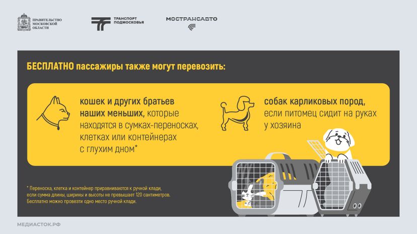 Правила перевозки животных горизонталь 04