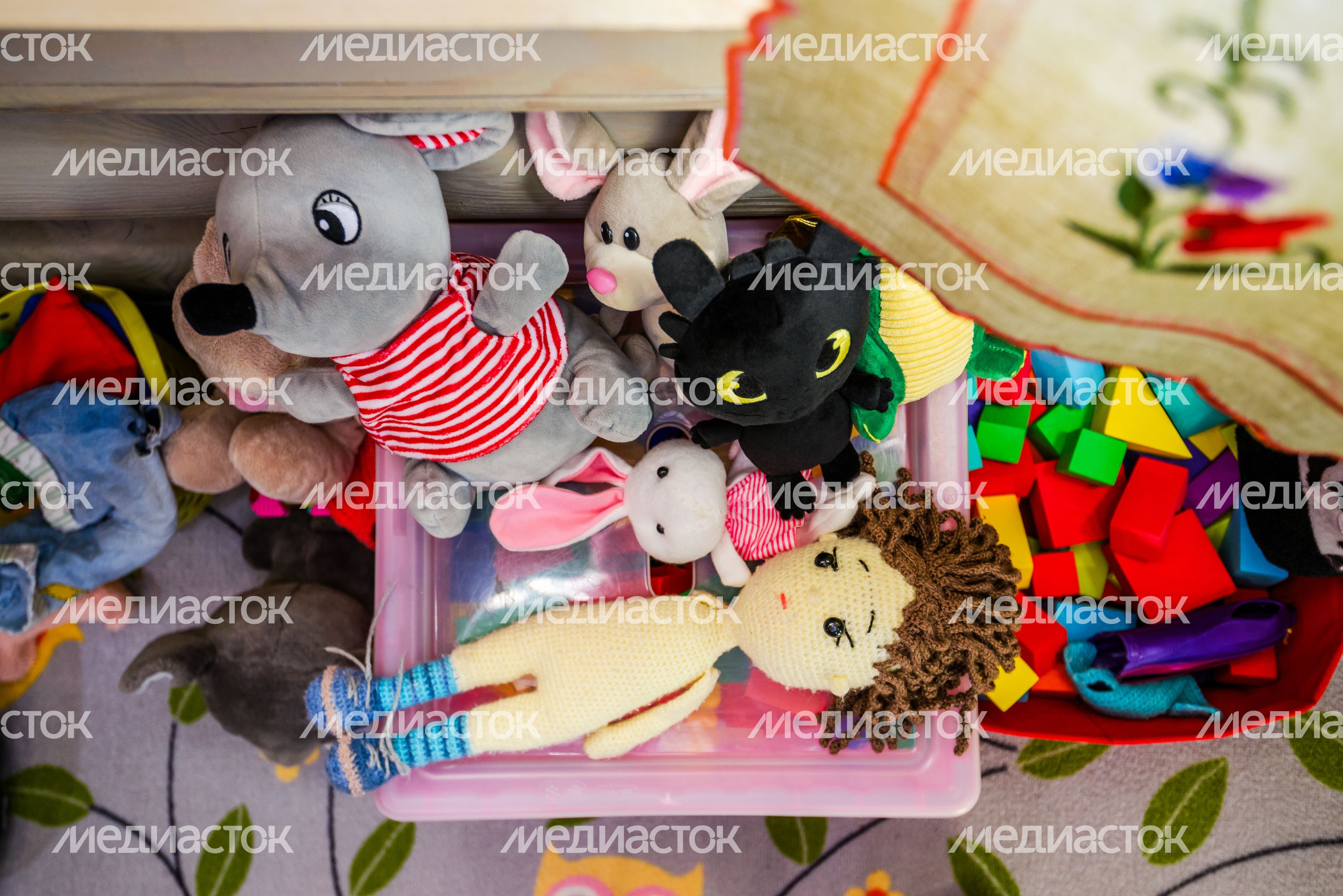 Сказочный музей Бабы Яги в царстве Мухомора в округе Щелково Сказочный музей Бабы Яги в царстве Мухомора в округе Щелково