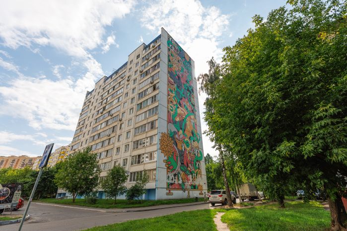 Муралы в Железнодорожном, Балашиха