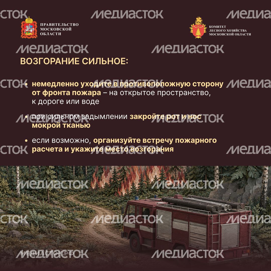 Живете рядом с лесом квадрат 10