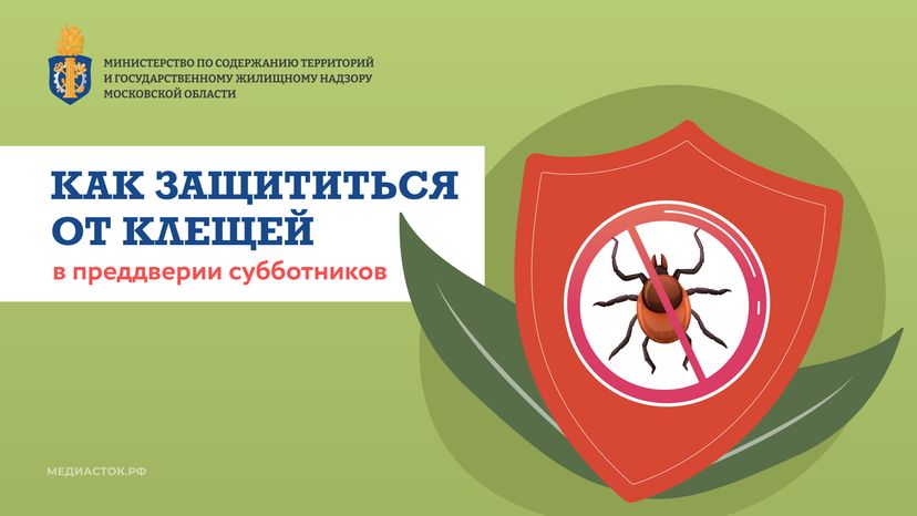 Как защититься от клещей горизонталь 01