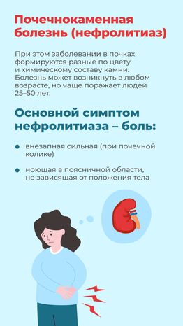 болезни почек-вертикаль-07