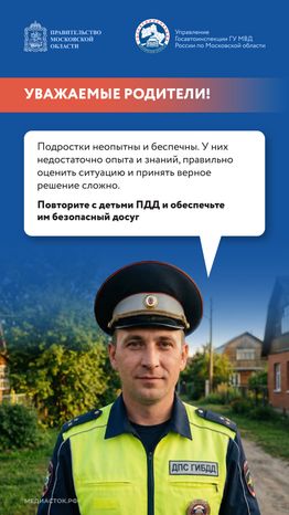 Дача территория безопасности 2026 Вертикаль 09