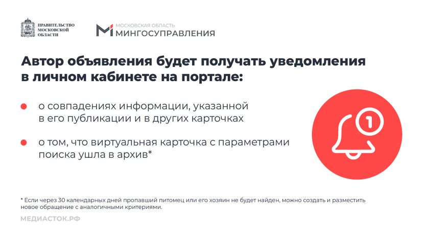 Домашние животные горизонталь 09