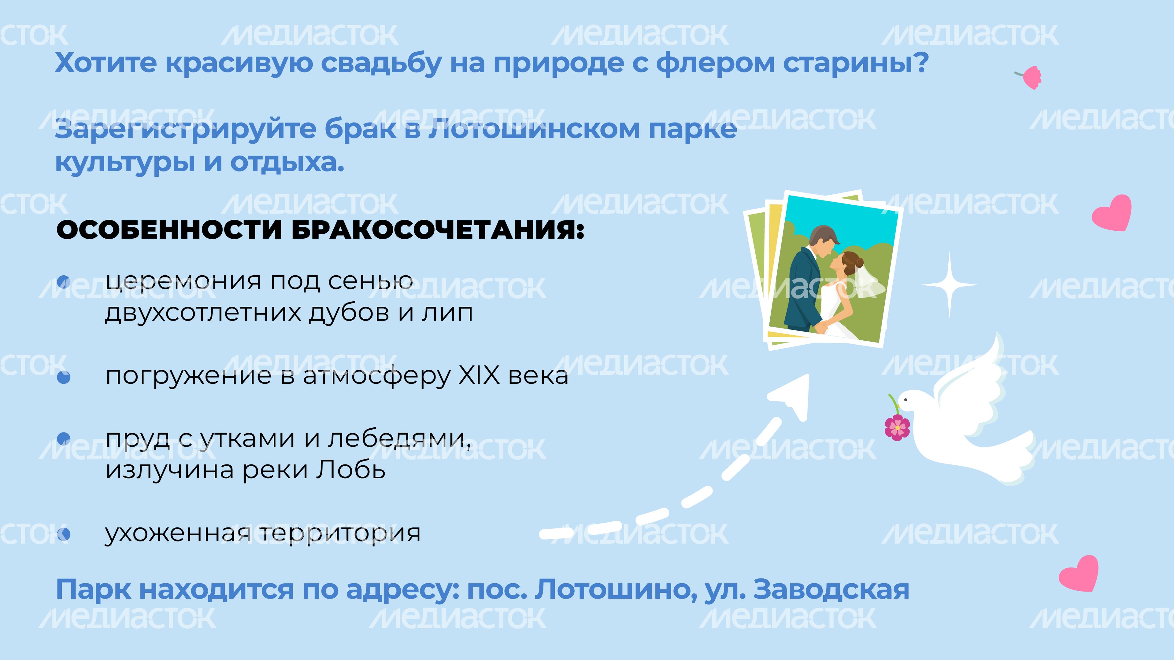 загс_выездные площадки-07.jpg