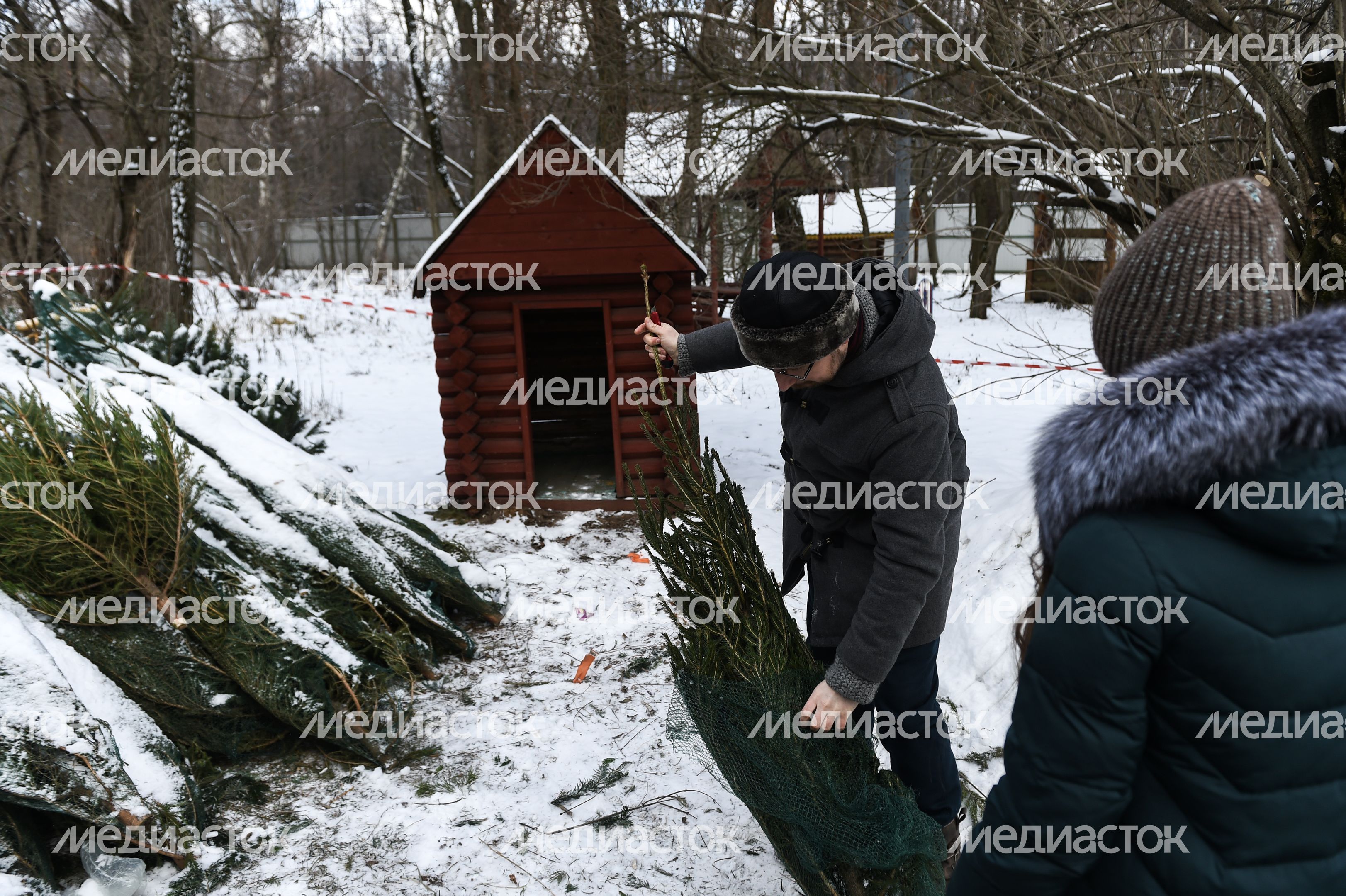 Утилизация елок после Нового года в Москве