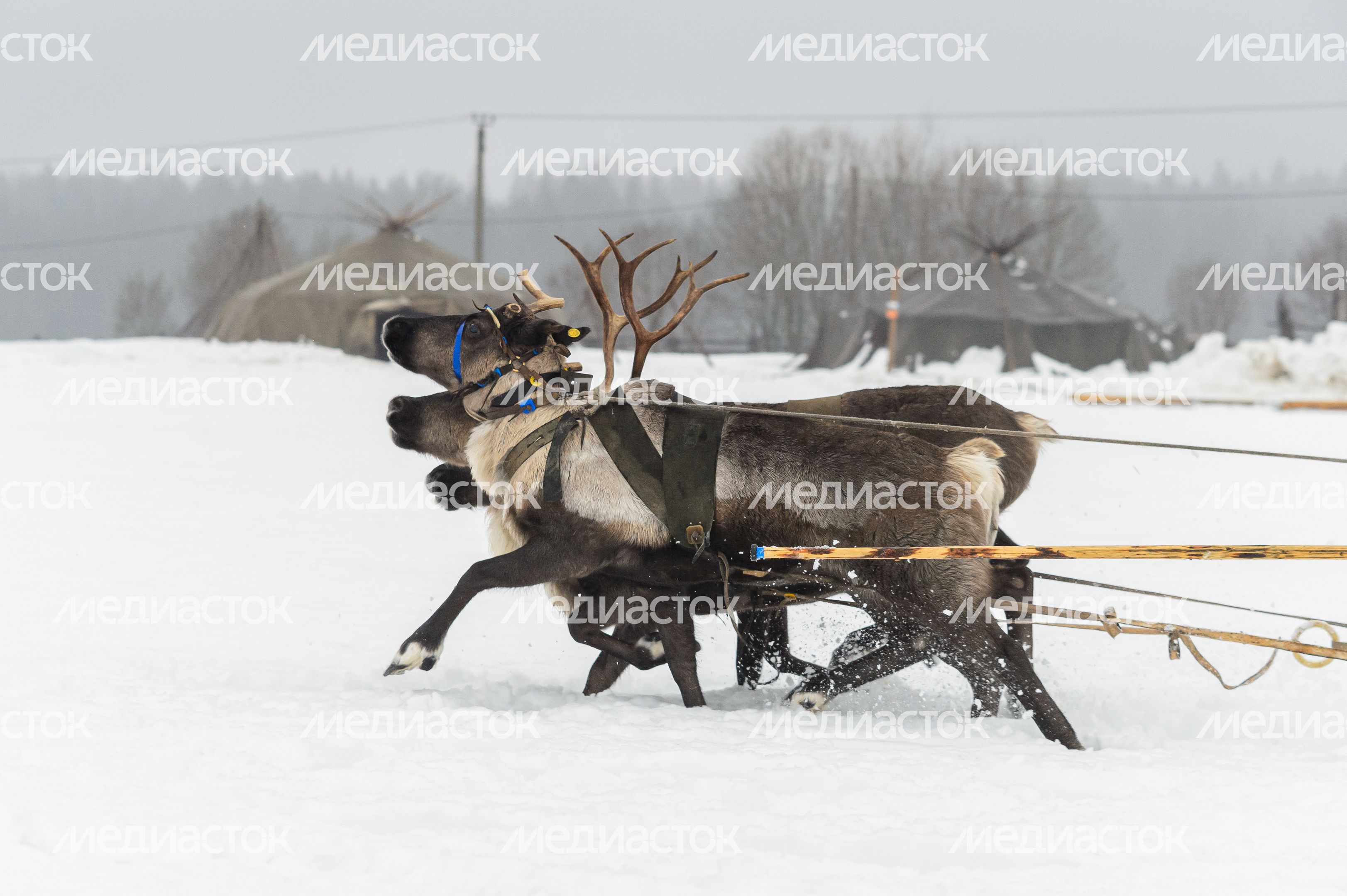 Этнопарк «Кочевник» в Хотьково зимой