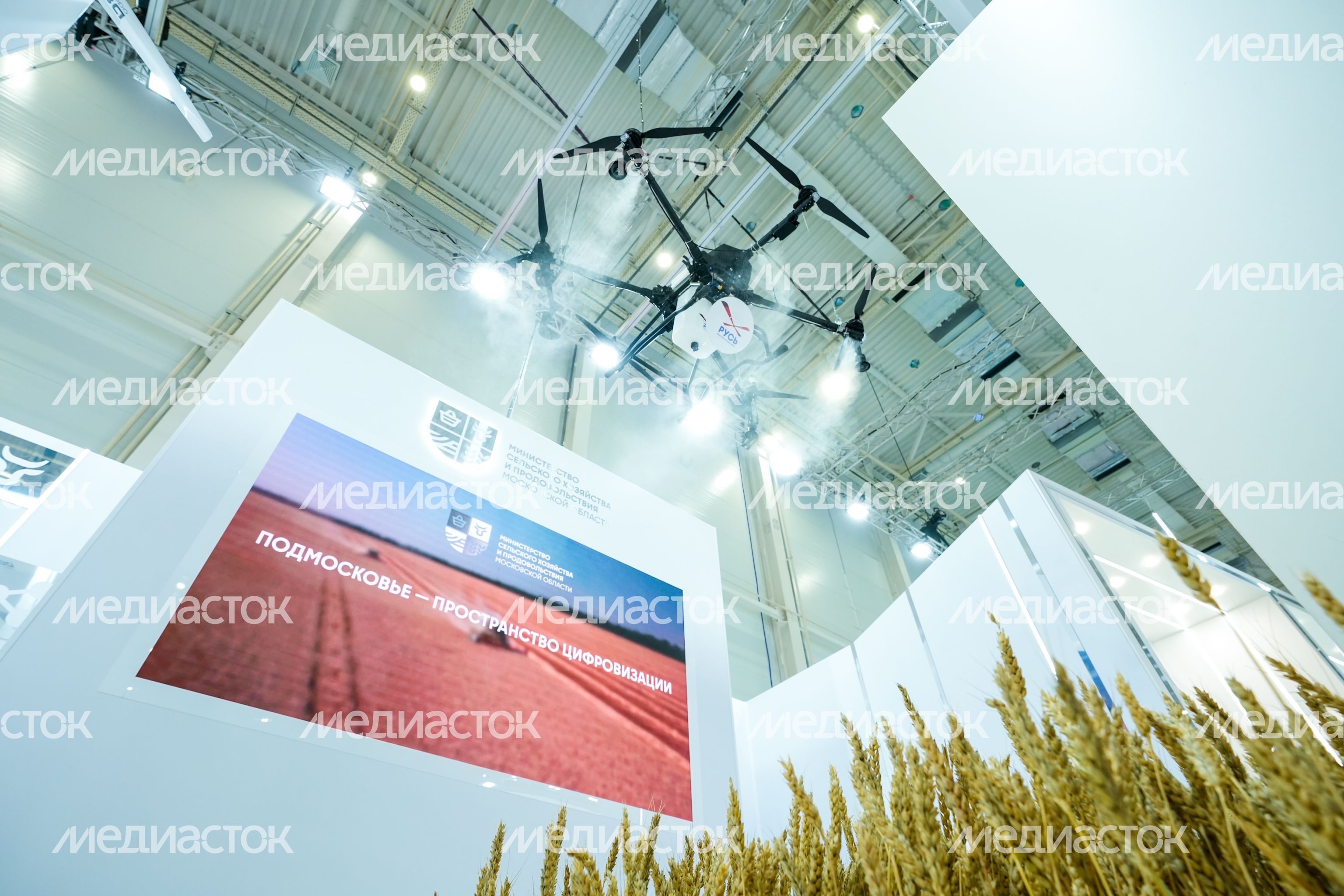 Стенд Подмосковья на выставке "Золотая осень - 2025" Стенд Подмосковья на выставке "Золотая осень - 2025"