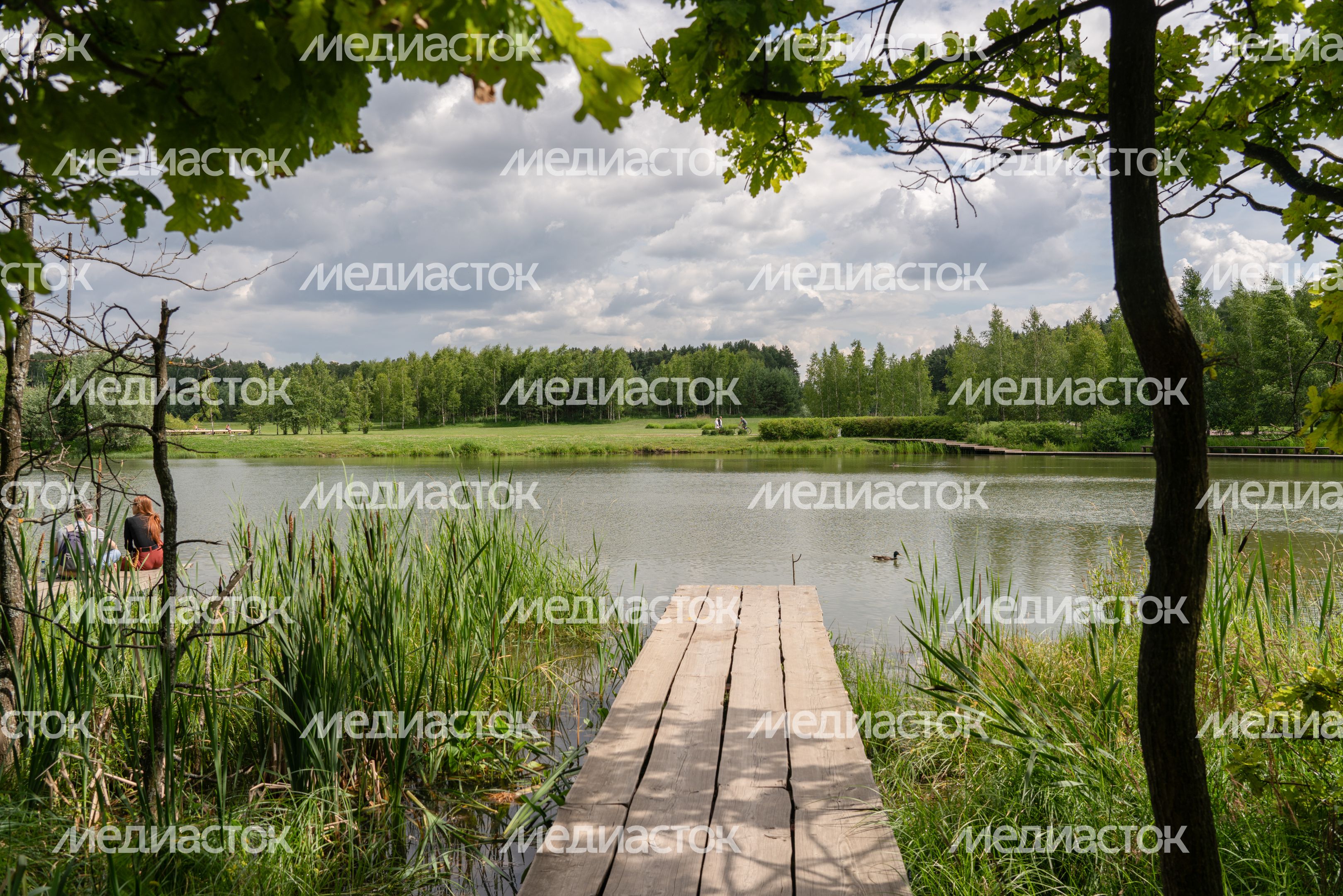 Мещерский парк летом