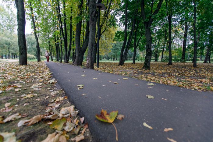 Реутов. Парк «Фабричный пруд»
