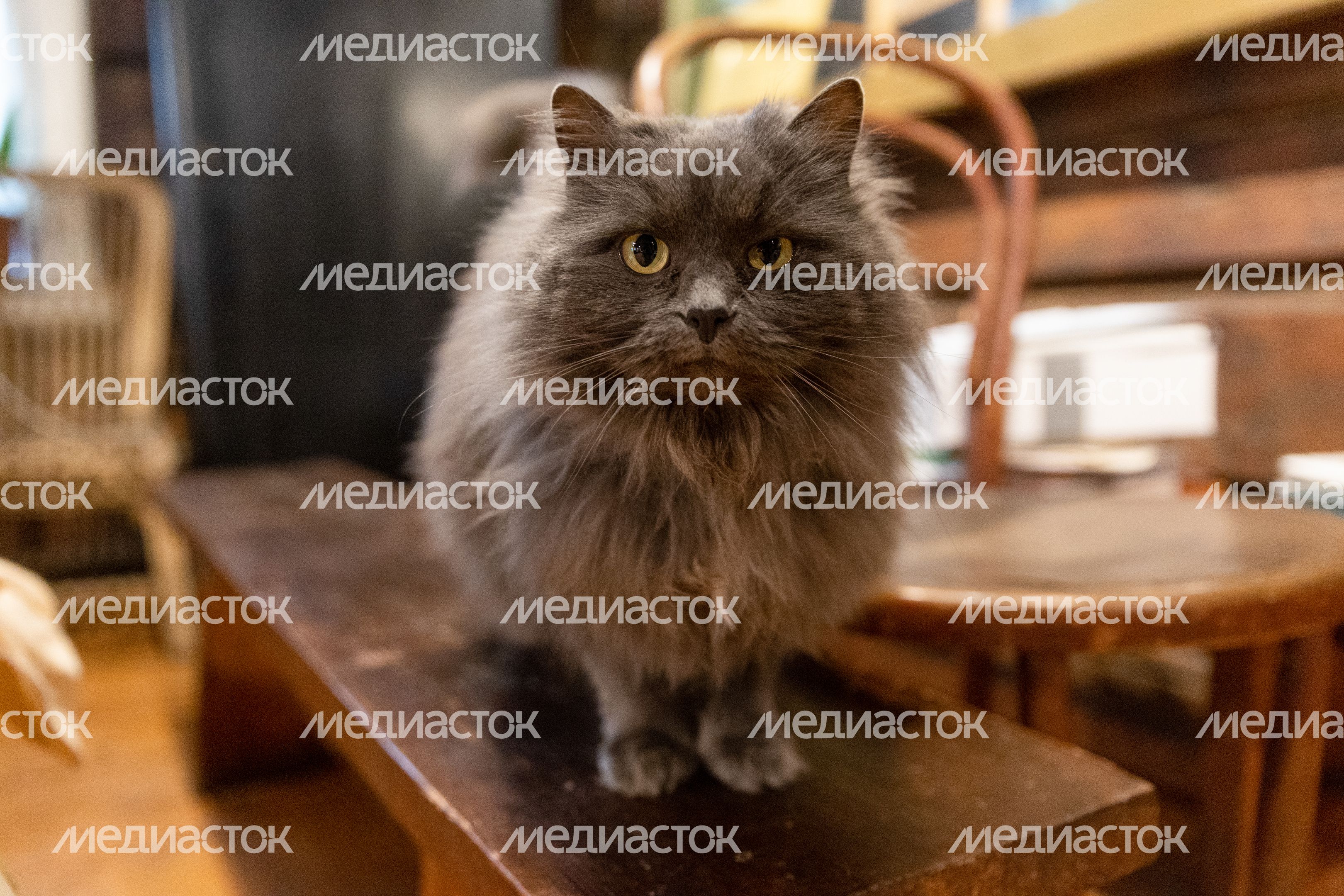 Музей С.И.Танеева в Дютькове Музей С.И.Танеева в Дютькове