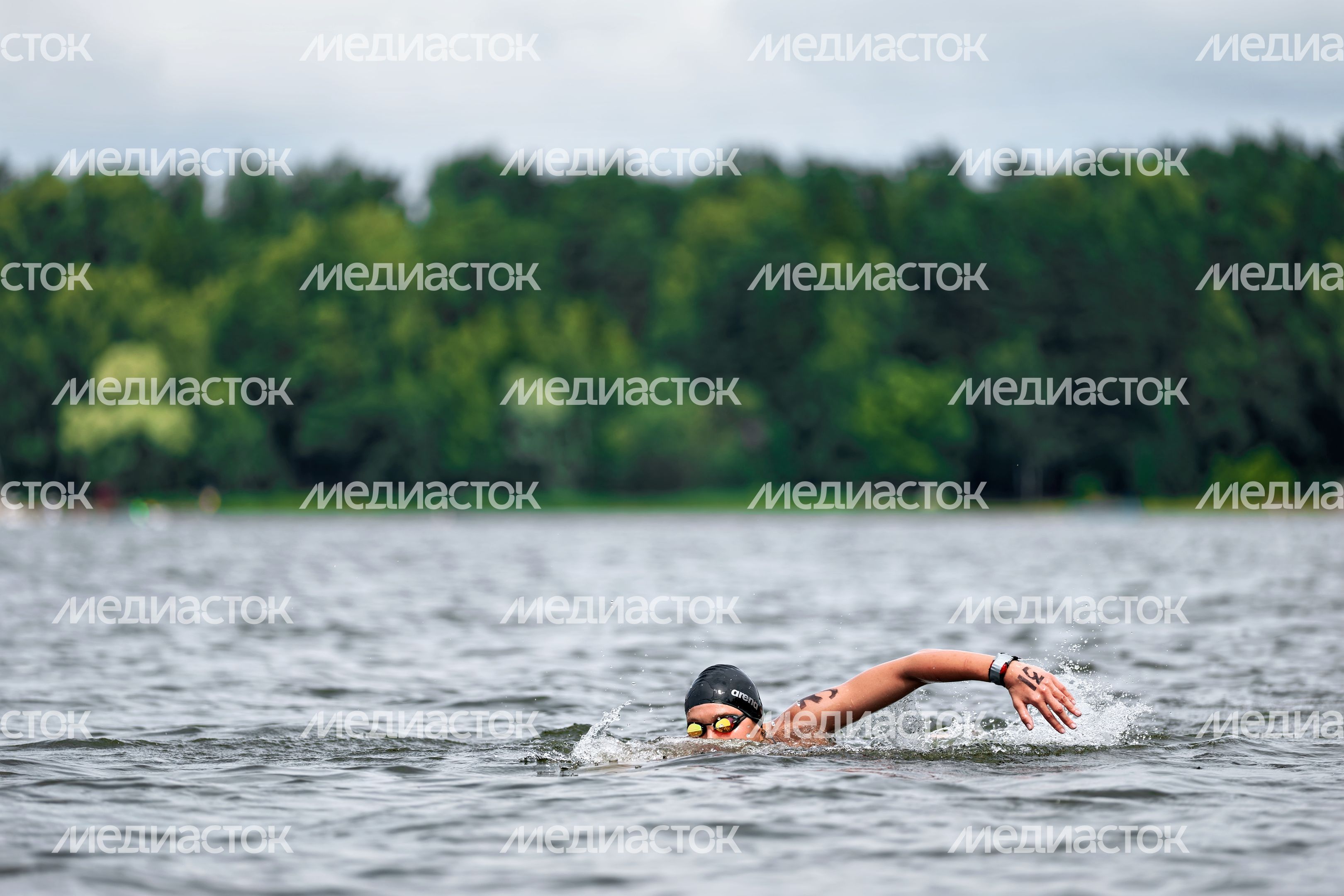 Кубок России по плаванию на открытой воде в Истринском водохранилище в округе Солнечногорск