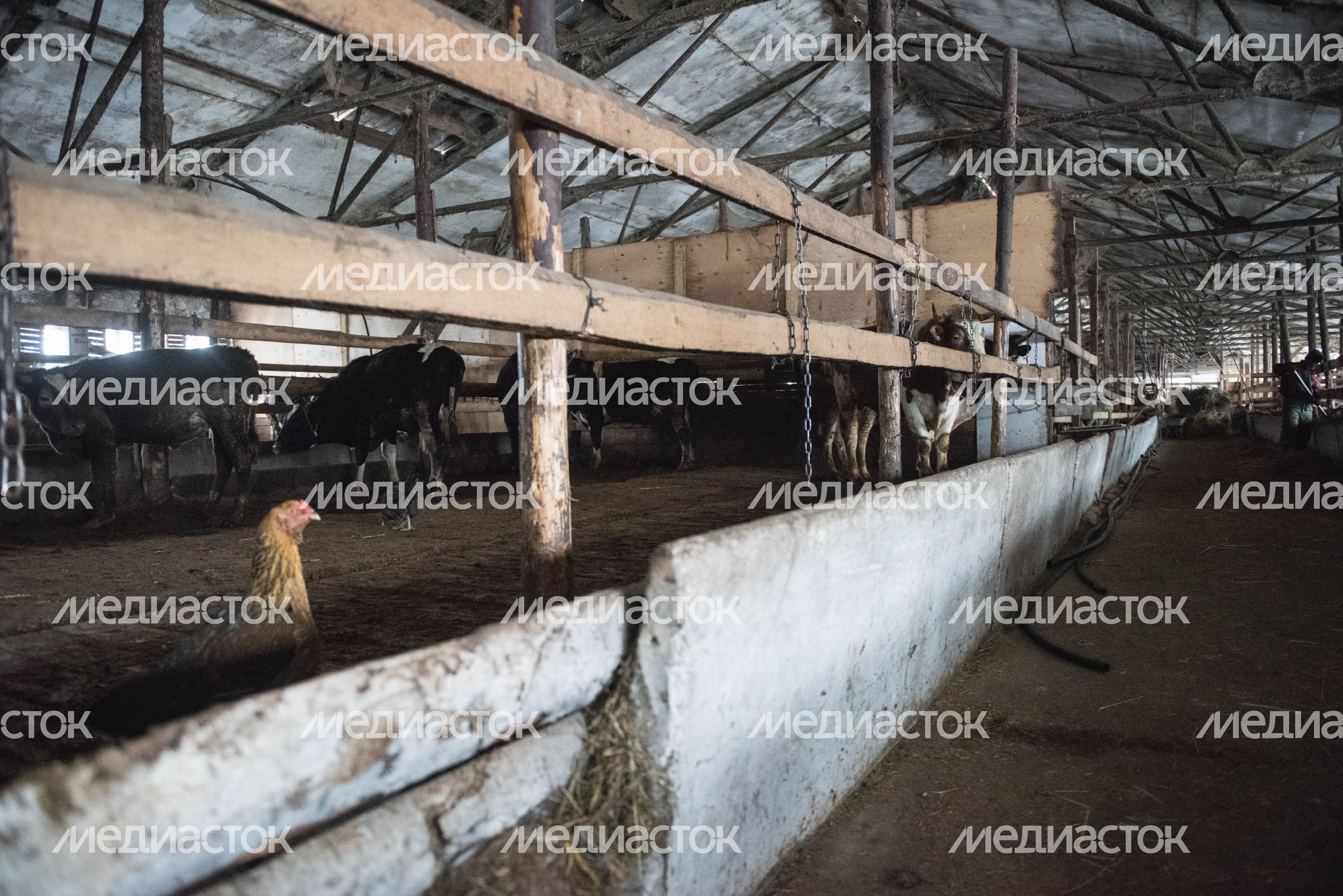Деревня «Марс» в Московской области, 2 часть