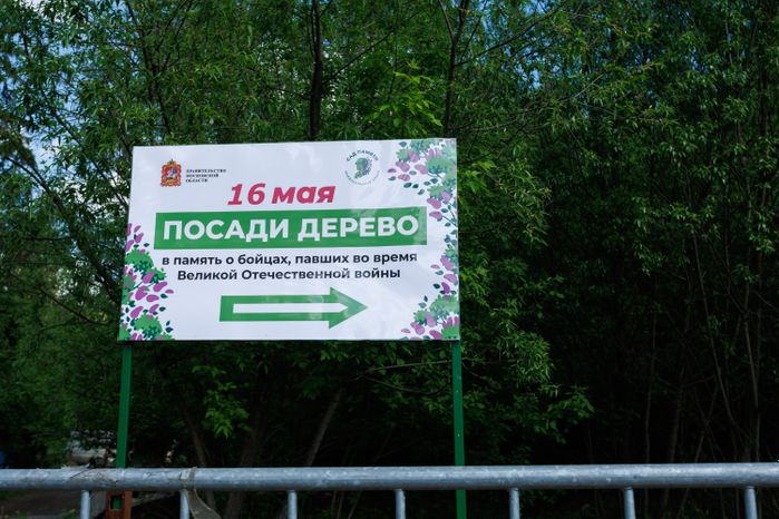 Кирилл Григорьев с командой принял участие во Всероссийской акции «Сад памяти»
