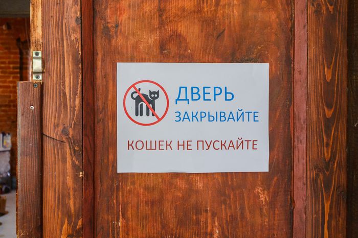 Егорьевск. Арт-усадьба «Гуслица»