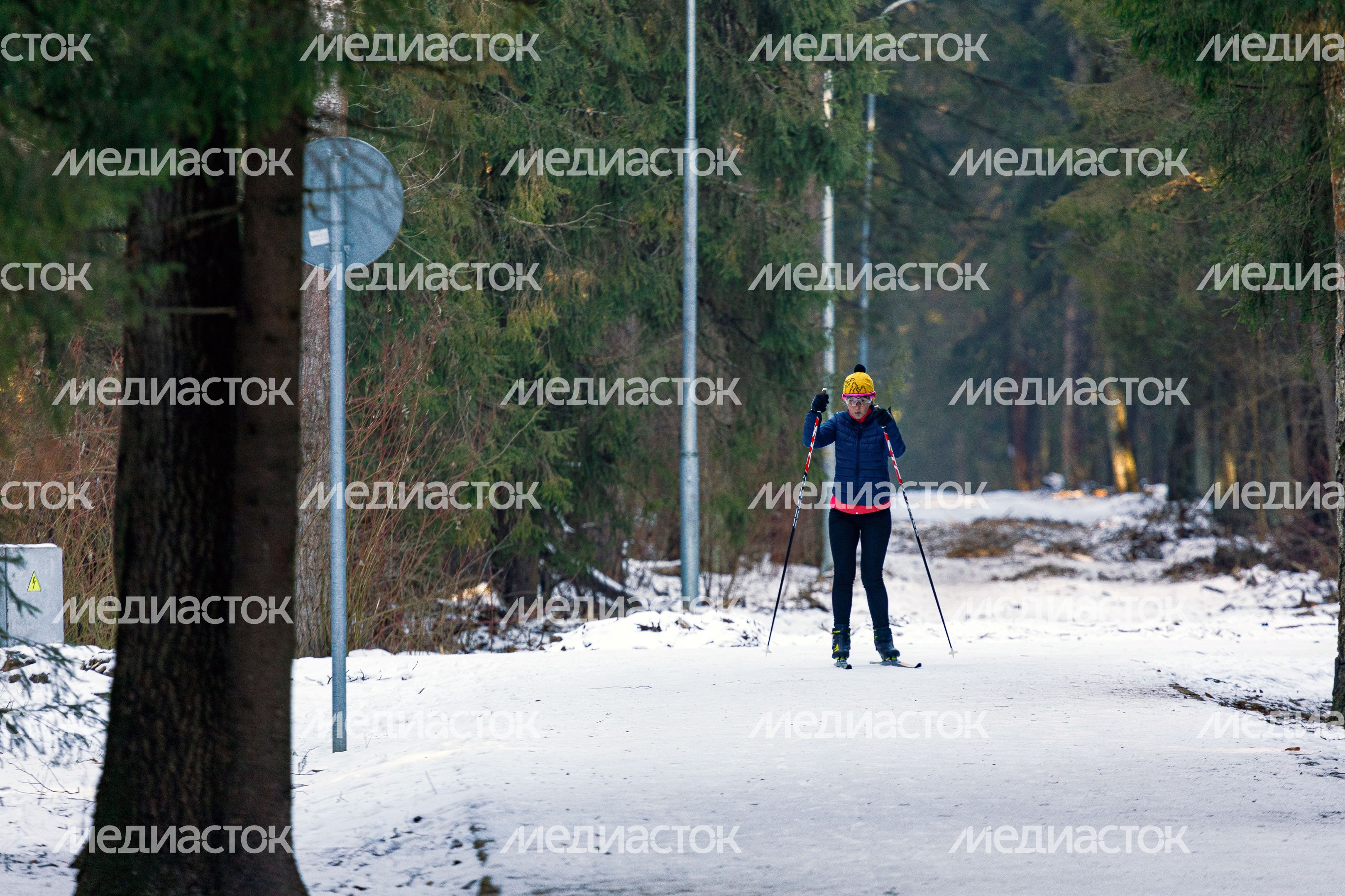 Зимний Мытищинский лесопарк Зимний Мытищинский лесопарк