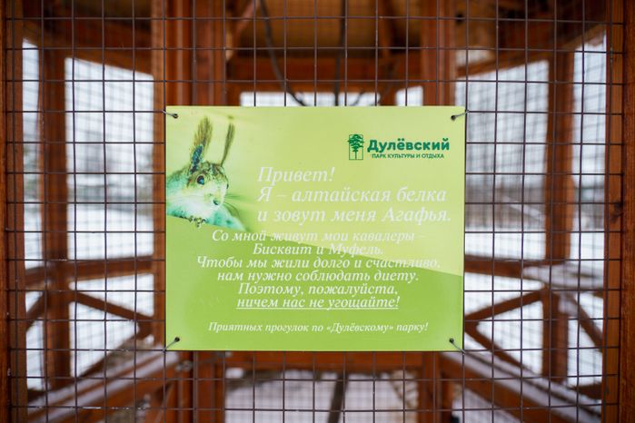 Парк «Дулевский» в Ликино-Дулево