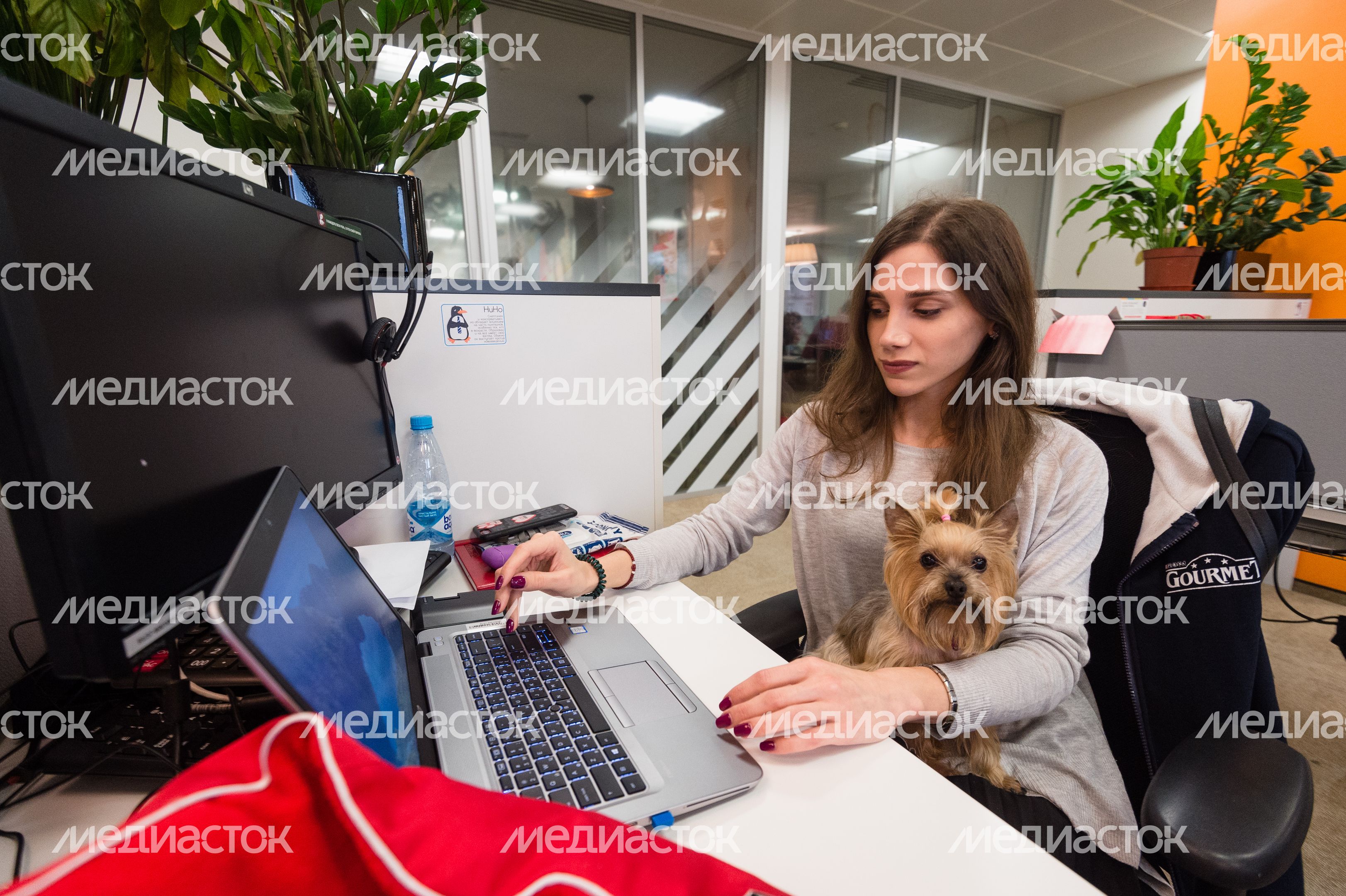 Pet‑friendly офис Purina