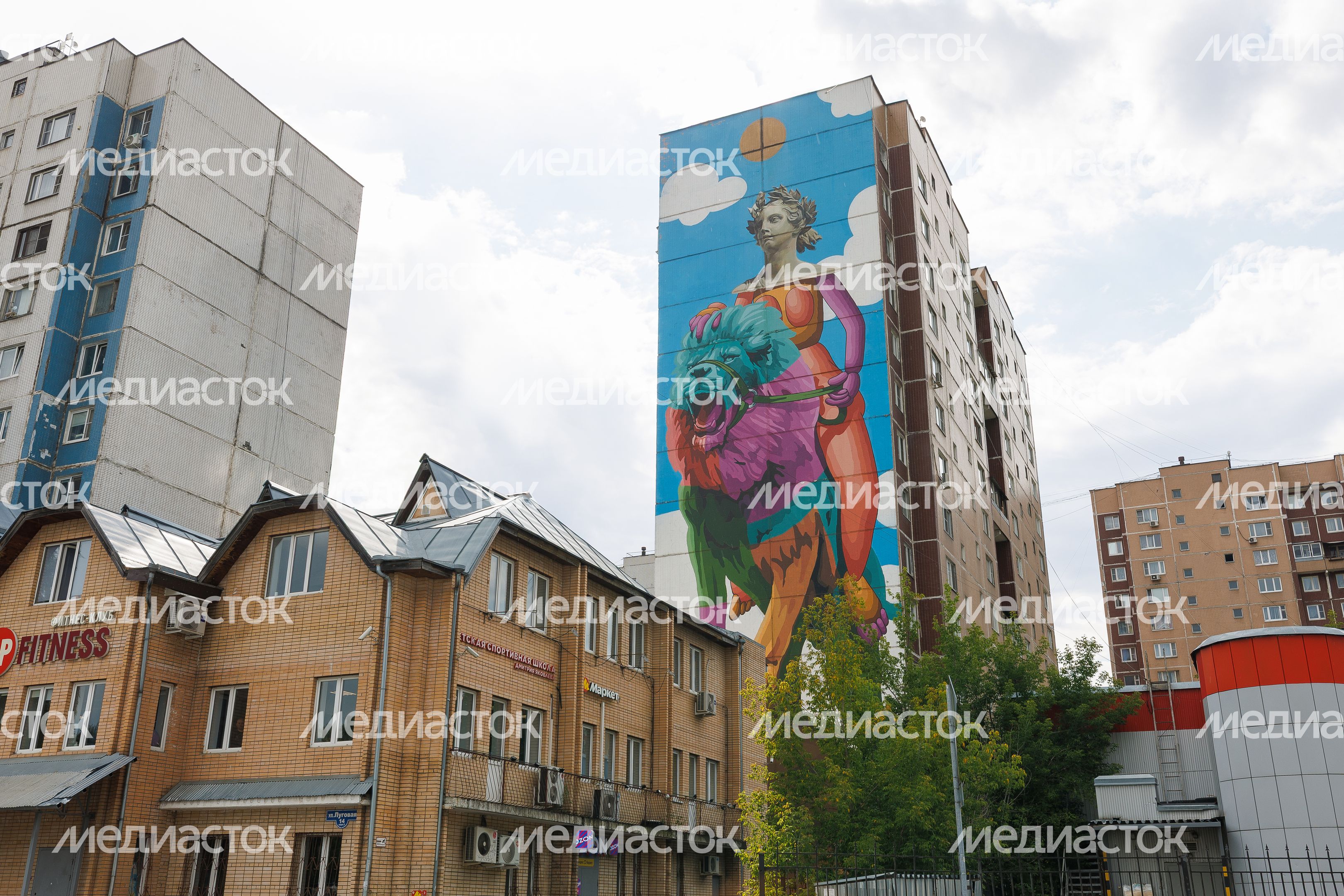 Муралы в Железнодорожном, Балашиха