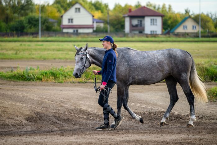 Чемпионат России для лошадей орловской рысистой породы на Раменском ипподроме