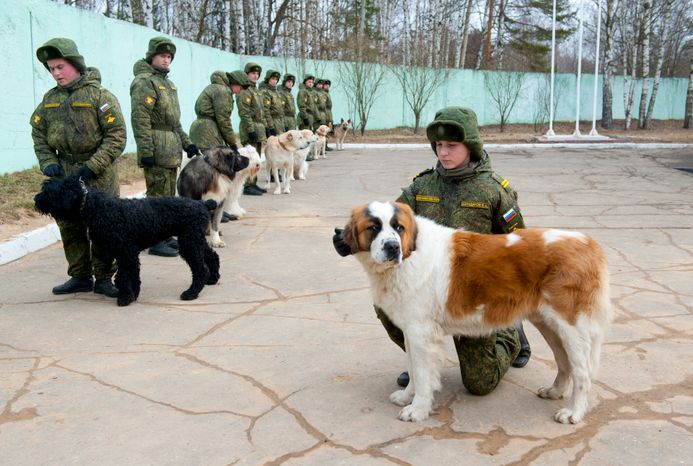 Племенной питомник «Красная Звезда» в Дмитровском районе