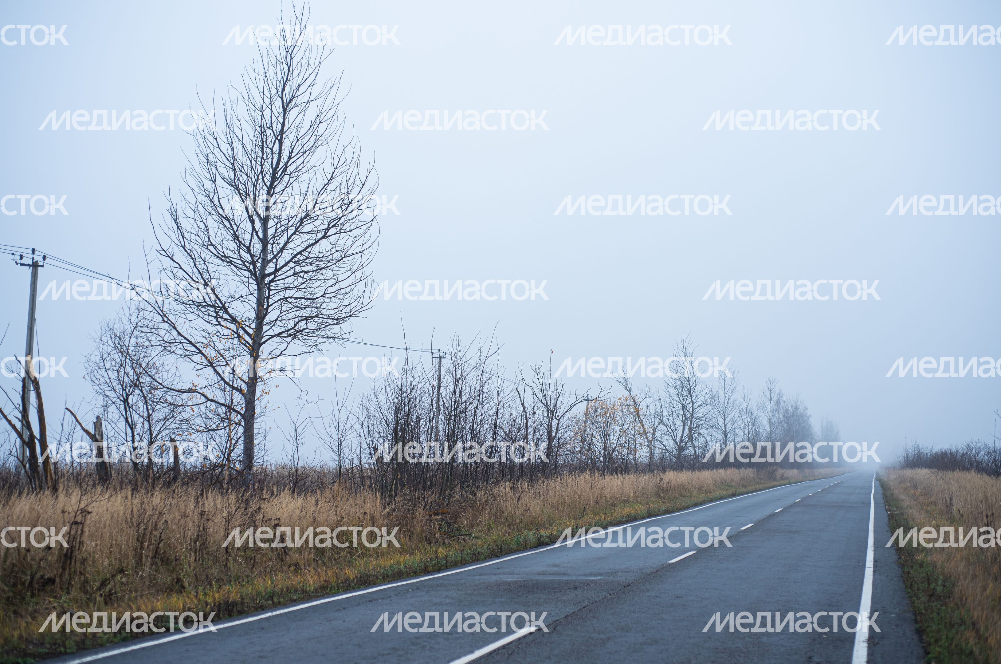 Шатурские болота