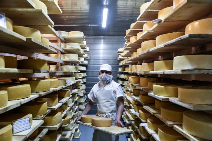 Работа сыроварни Олега Сироты в подмосковье