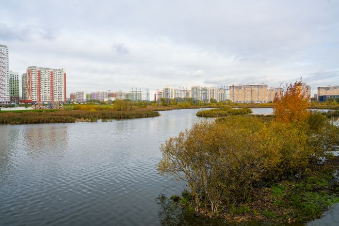 В Люберцах благоустроили парк "Дружба" с пешеходным мостом через озеро Черное