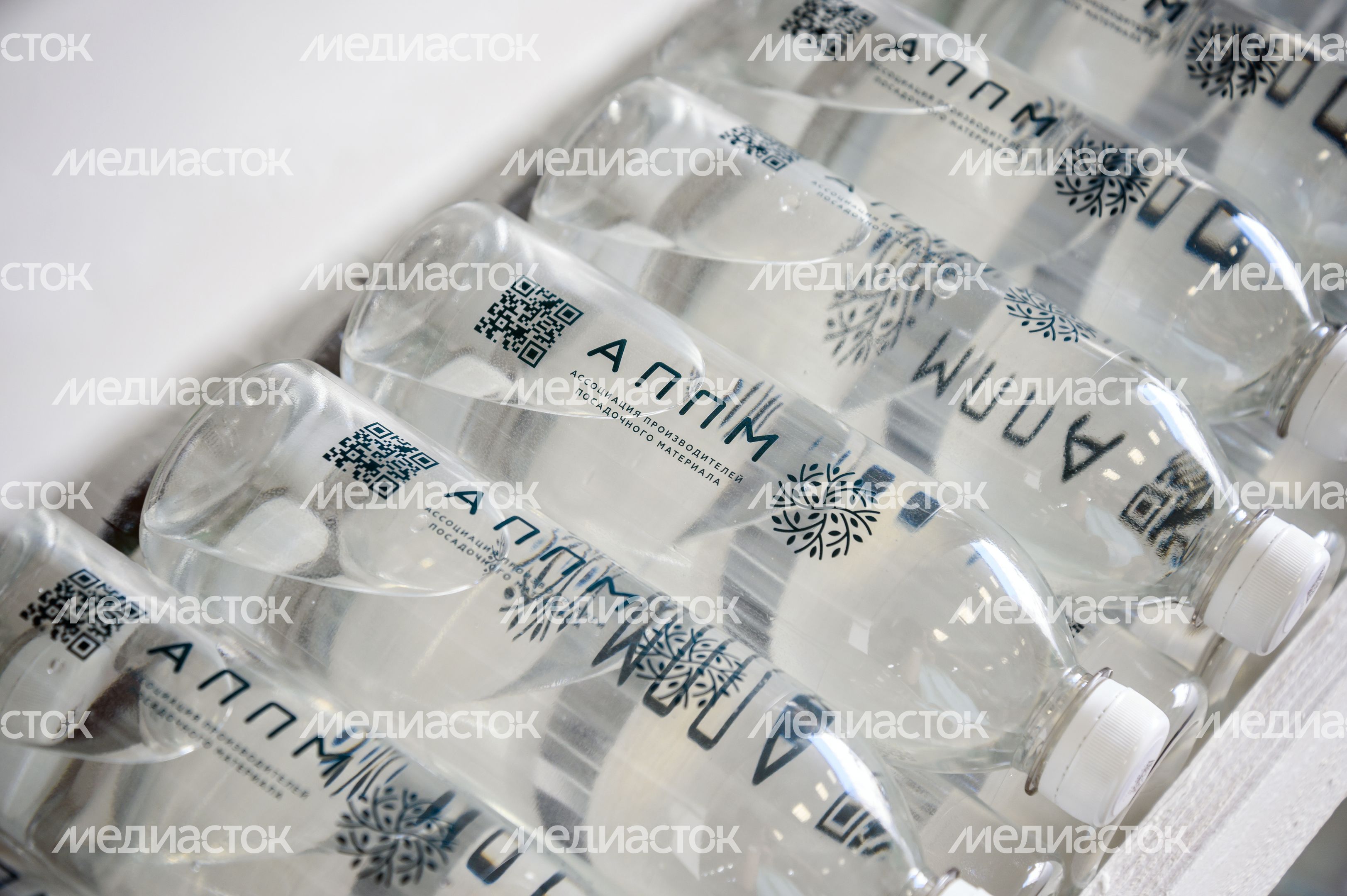 Международная выставка посадочного материала для профессионалов зеленой отрасли 2024 в Раменском округе Международная выставка посадочного материала для профессионалов зеленой отрасли 2024 в Раменском округе